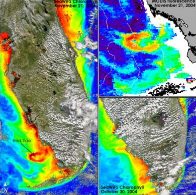 ocean remote sensing